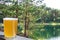 Glass of light beer against small pipe tree near turquoise lake. Summer forest with pipe trees in Latvia