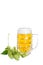 Glass of light beer with hops isolated on white background