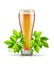 Glass of light lager beer with hop plant buds