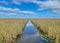 A Glass-like Canal reflecting the Clouds Above within the Famous Florida Everglades