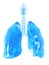 A glass lung