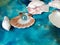 Glass marble orb seashell shell blue turquoise ceramic tray nautilus beach summer