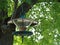 A Glass and Metal Birdfeeder