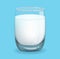 Glass of Milk