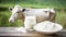 Glass of milk and colostrum supplement powder on a table on background green field with cow. Natural and wholesome nature of the