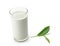 Glass of milk and green tea leaf on white background