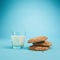 Glass of milk and oatmeal cookies. Morning dessert