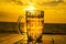 Glass mug with beer beautiful sunset