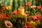 glass with orange juice on a small stump covered with moss. red pink and orange poppies all around