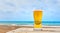 Glass of pale golden Pilsener lager at the sea