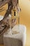 glass perfume bottle in driftwood, natural shade background