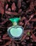 Glass Perfume Bottle nature spring