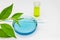 Glass petri dish with blue water and a flask with yellow liquid and plant leaves on a white background. Biotechnology research