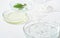 Glass petri dish and test tube with plant extract and green leaves . Research and develop cosmetic production in the