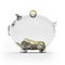 Glass piggy bank with euro coins. Side view