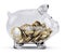 Glass Piggy bank with money