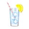 Glass of pure water with ice and lemon. Vector illustration.