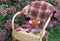 Glass of red wine, book, figs, autumn maple leaves and bouquet of helenium and autumn crocuses on wicker chair in garden