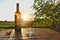 Glass of red wine with bottle, cork and red berries on wooden table with green fields, bush and sunset in the background