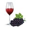 Glass with red wine and grape isolated
