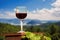 A glass of red wine in a vineyard on the Kastoria city background