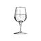 A glass of red wine Vintage Hand Drawn Sketch Vector illustration.