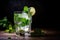 glass of refreshing minty mojito with a sprig of fresh mint