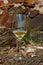 Glass of Riesling wine on slate rock