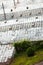 Glass roofs of the old greenhouses