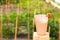 Glass with sparkling water and frash bright strawberries in a summer garden. Shallow depth of field. Selective focus