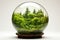 A glass sphere filled with green plants and trees, creating a miniature forest world