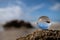 Glass sphere lying on the rock of a beach on a sunny