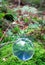 A glass sphere rests on a bed of moss
