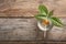 Glass with sprouted avocado on wooden background