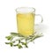 Glass of tea with a twig of fresh green ironwort