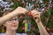 Glass test tubes with flower samples, close-up. Female hands holding flasks, blurred background. Study of plants, medicinal herbs