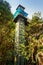 Glass tower among green woods. Scenic outdoor elevator in forest