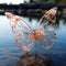 glass transparent butterfly sits on the surface of the water, an unusual insect