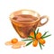 Glass transparent cup filled with sea buckthorn tea. Hand drawn watercolor on a white background. Forest buckthorn