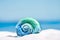 Glass tropical sea shell on white beach sand under the sun lig