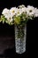 Glass vase, filled with white daisies and roses