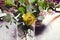 Glass Vase Filled With Yellow Banksia Flower,Eucalyptus Branches and Violets