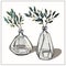 Glass vases with twigs of the plant. Glass, nature, interior. Traced watercolor painting. Isolated vector