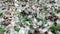 Glass waste in recycling facility. Pile of bottles. Pan