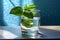 Glass of water with fresh basil on blue background. Diet drink.