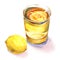 Glass of water with fresh lemon fruit, lemon juice, yellow citrus, beverage, lemonade refreshing drink, isolated, hand