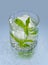 Glass with water ice and mint