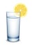Glass of water with lemon.