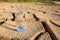 A Glass Of Water On Parched Soil I