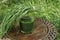 Glass of wheatgrass juice on a brown wooden table